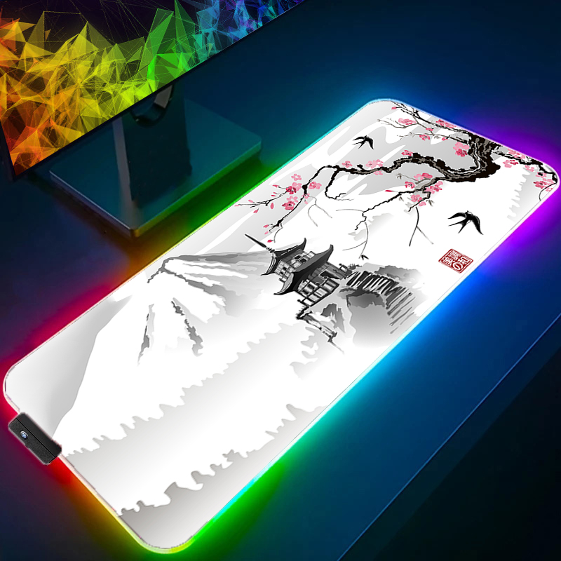 LED Licht RGB Mauspad PC Compu – Pc Gaming Dragon Bewertung und Preis